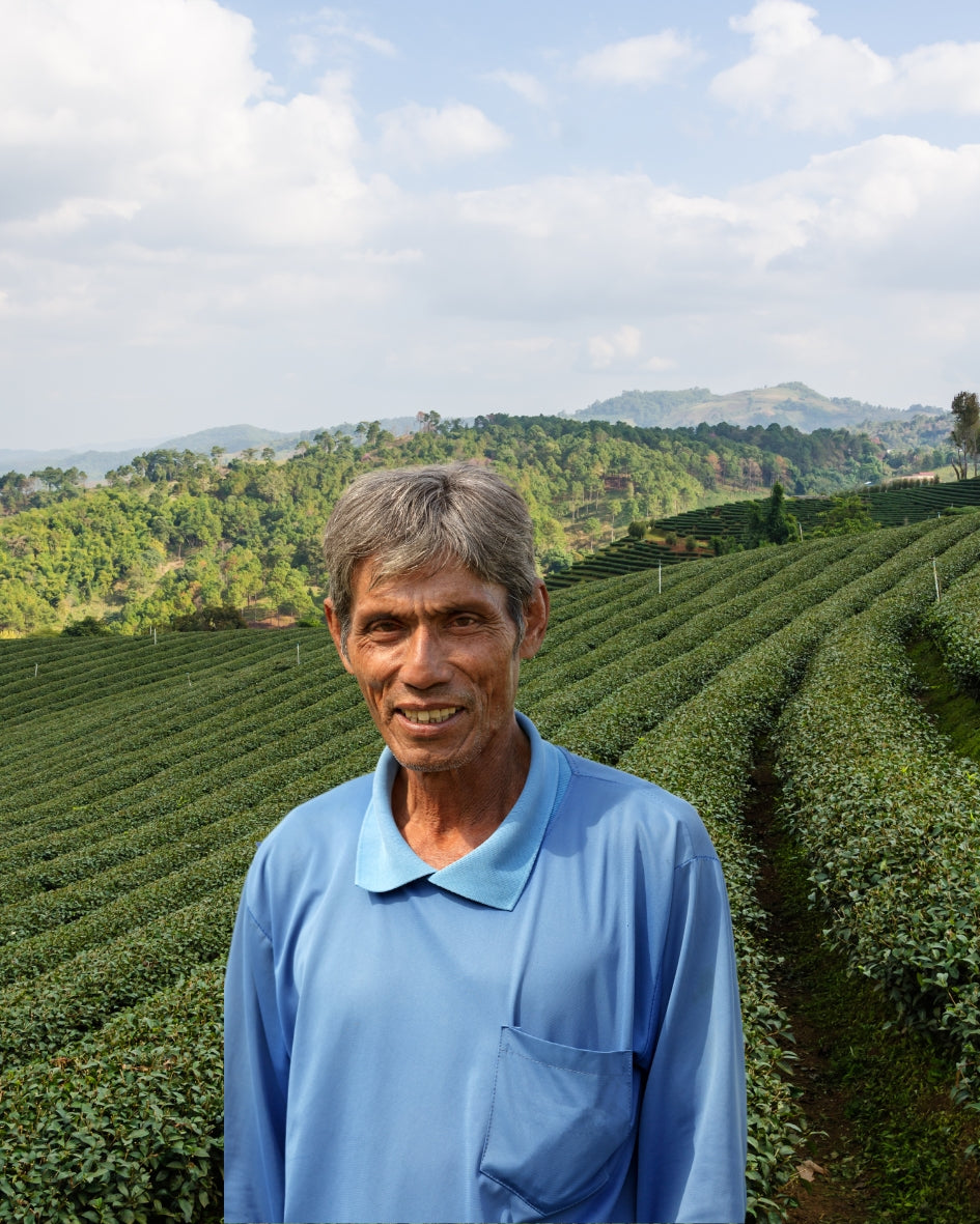 Kratom Kaufen im Trend - Warum ist das so